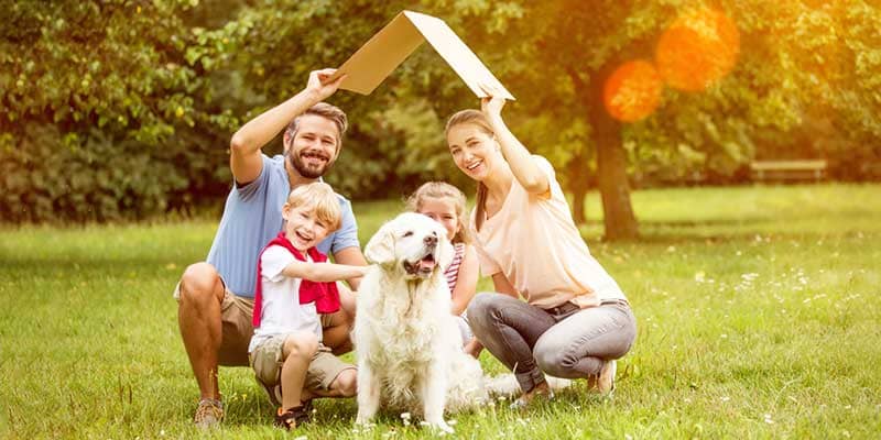 Making Sure That Your Family is Healthy and Safe From Pests Chandler az