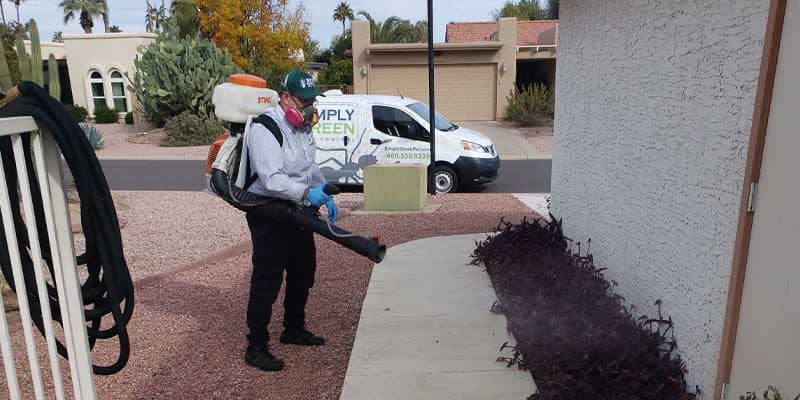Tips For Protecting Your Home From Pests This Spring Chandler az